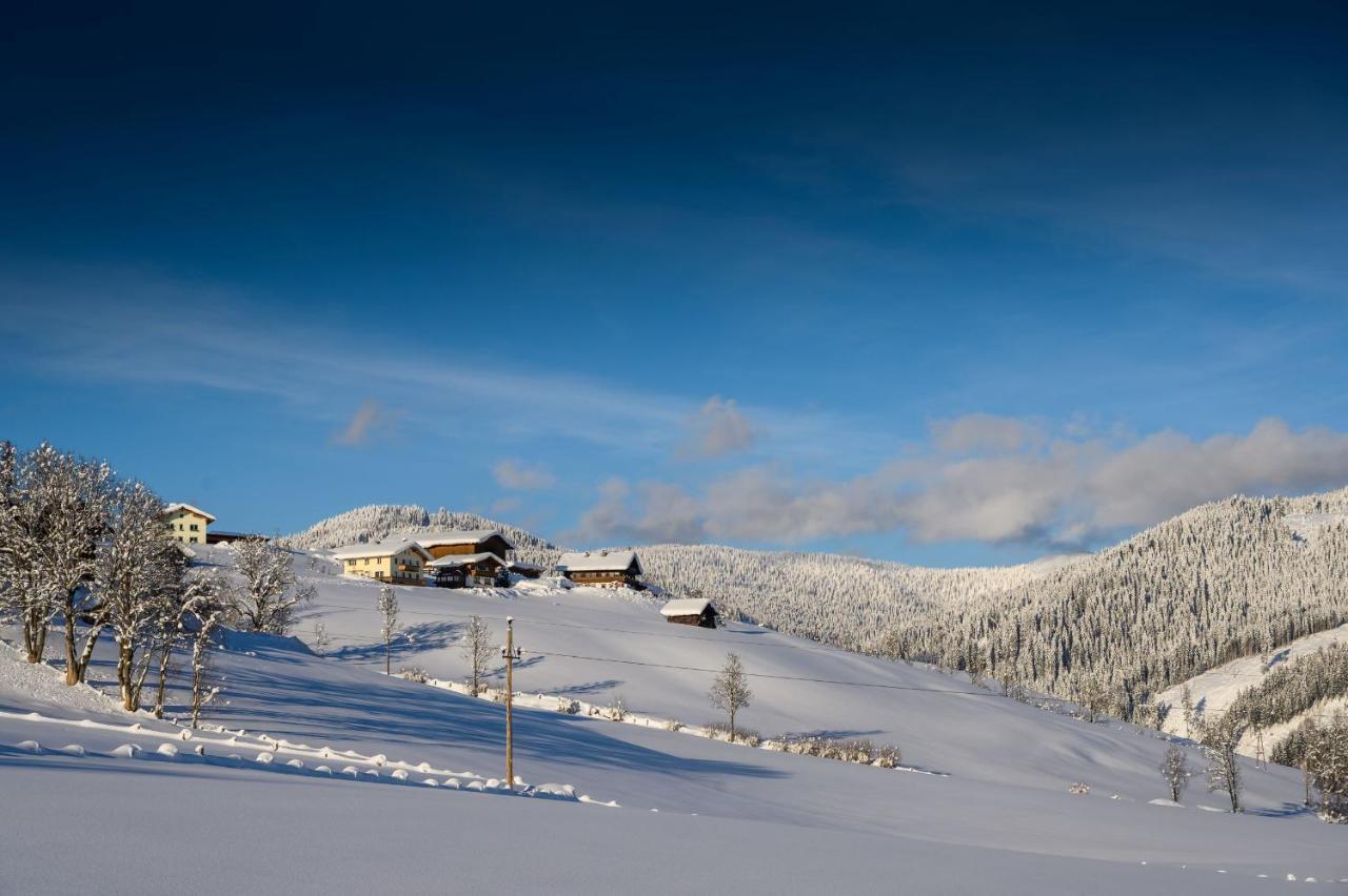 Parchenbauernhof Horner Hotell Flachau Eksteriør bilde