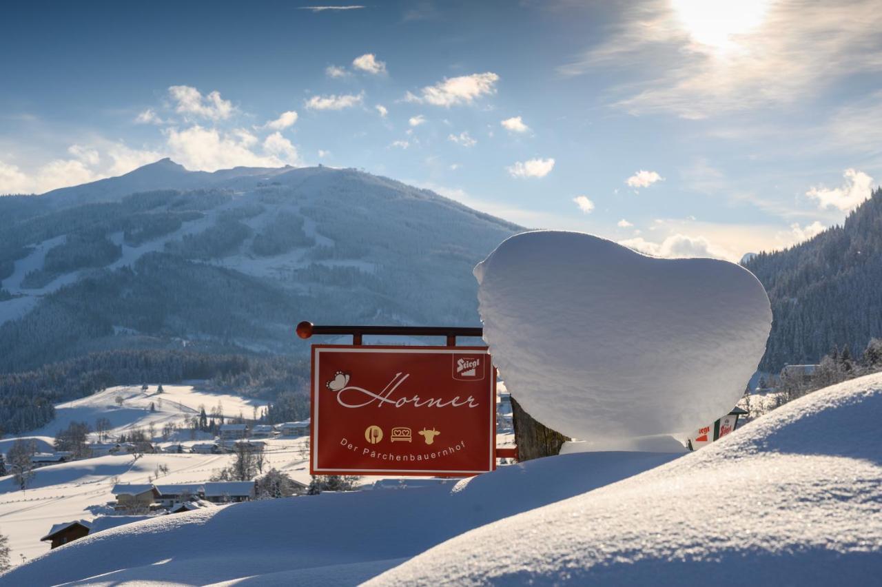 Parchenbauernhof Horner Hotell Flachau Eksteriør bilde